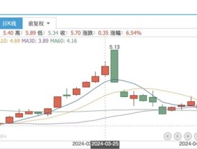 “砸锅卖铁”并购锦湖轮胎，青岛双星能否走出亏损泥潭？